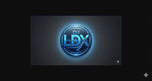 Dj LDX